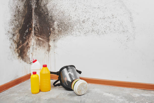 Water Damage Restoration in Hillsboro, MO